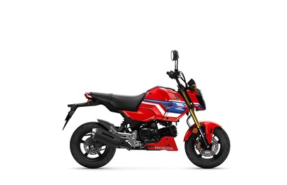 Leihmotorrad Honda MSX125 Grom