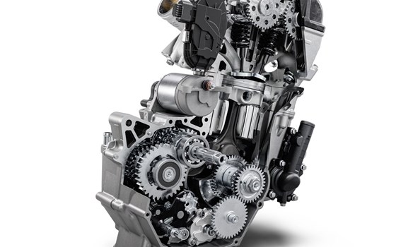 Verleihmotorrad KTM 390 Enduro R vom Händler Road Star Motorcycles GmbH - Bild 7