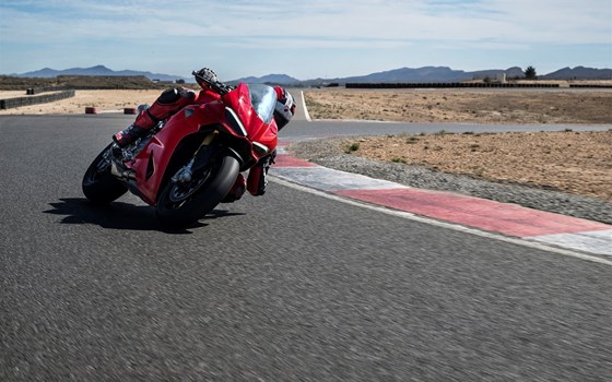Verleihmotorrad Ducati Panigale V2 S vom Händler Motorrad Meisterei Lange e.K. - Bild 6 Verleihmotorrad Ducati Panigale V2 S vom Händler Motorrad Meisterei Lange e.K. - Bild 6