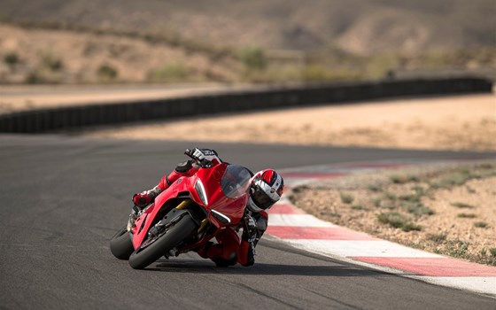 Verleihmotorrad Ducati Panigale V2 S vom Händler Motorrad Meisterei Lange e.K. - Bild 7 Verleihmotorrad Ducati Panigale V2 S vom Händler Motorrad Meisterei Lange e.K. - Bild 7