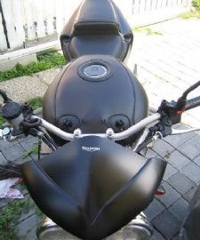 Triumph Speed Triple 955i Custom Bike