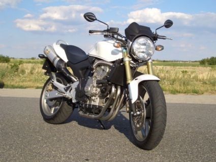 Umgebautes Motorrad Honda CB 600 F Hornet von mmaier - Bild 5