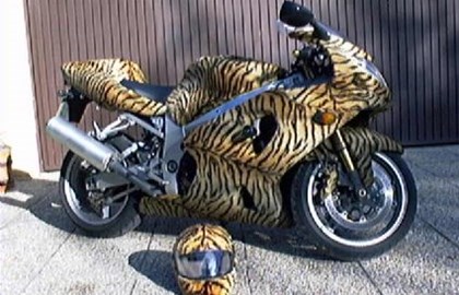 Suzuki GSX-R 1000 Custom Bike