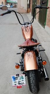 Umgebautes Motorrad Harley-Davidson Sportster XL 1200 N Nightster von HK-Technik Kemeter OG - Bild 5 Umgebautes Motorrad Harley-Davidson Sportster XL 1200 N Nightster von HK-Technik Kemeter OG - Bild 5