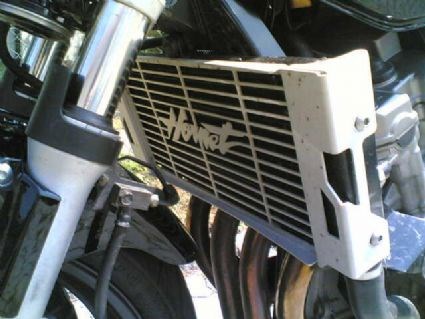 Umgebautes Motorrad Honda CB 600 F Hornet von fetomi2 - Bild 2