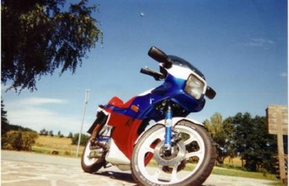 Sachs 49er Custom Bike