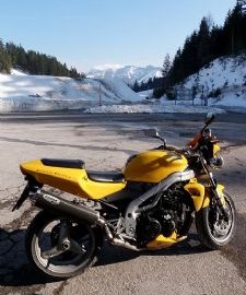 Triumph Speed Triple 955i Custom Bike