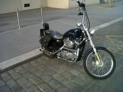 Gebrauchte Harley-Davidson Sportster XL 1200C Custom