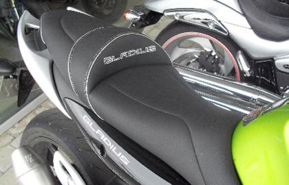 Suzuki SFV 650 Gladius Custom Bike Suzuki SFV 650 Gladius Custom Bike