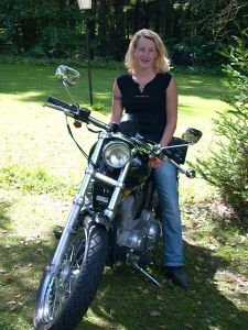 Gebrauchte Harley-Davidson Sportster XL 883