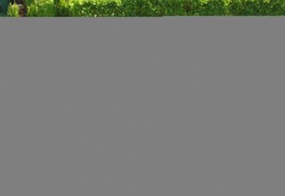 Ducati Monster 600 Dark