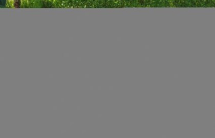 Ducati Monster 600 Dark Custom Bike