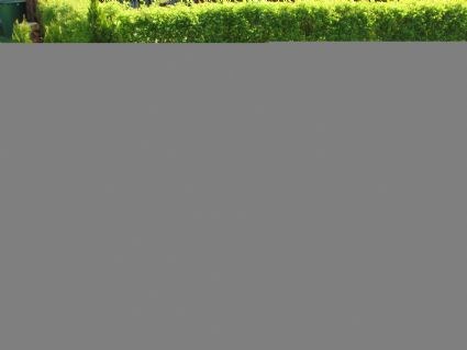 Umgebautes Motorrad Ducati Monster 600 Dark von ducati99 - Bild 1