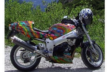 Suzuki GSX 750 S Katana Custom Bike Suzuki GSX 750 S Katana Custom Bike