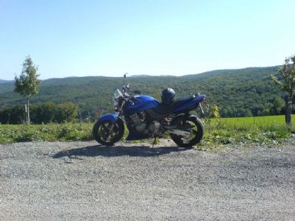 Umgebautes Motorrad Honda CB 600 F Hornet von Phyter - Bild 2 Umgebautes Motorrad Honda CB 600 F Hornet von Phyter - Bild 2