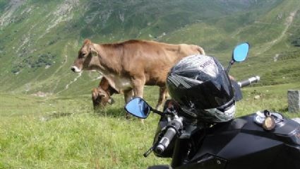 Umgebautes Motorrad KTM 990 Super Duke von ro71 - Bild 5 Umgebautes Motorrad KTM 990 Super Duke von ro71 - Bild 5