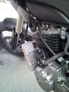 Umgebautes Motorrad Honda FMX650 von Bandit0r - Bild 3 Umgebautes Motorrad Honda FMX650 von Bandit0r - Bild 3