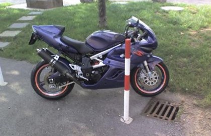 Suzuki TL 1000 S Custom Bike