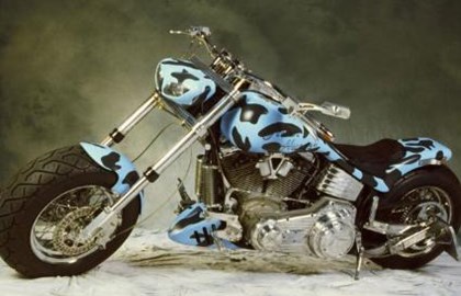 Harley-Davidson Softail Custom FXSTC Custom Bike