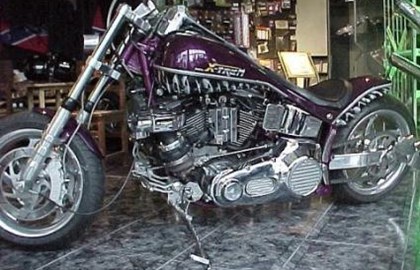 Harley-Davidson Softail Custom FXSTC Custom Bike