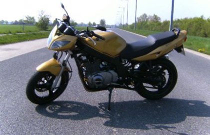 Suzuki GS 500 Custom Bike Suzuki GS 500 Custom Bike