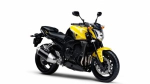 Yamaha FZ1 Custom Bike