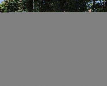 Gebrauchte Kawasaki VN 800 Classic