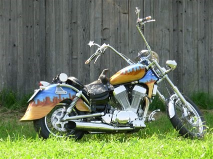 Umgebautes Motorrad Suzuki Intruder VS 1400 von SMC-Styrian Motor Cycle - Bild 1 Umgebautes Motorrad Suzuki Intruder VS 1400 von SMC-Styrian Motor Cycle - Bild 1