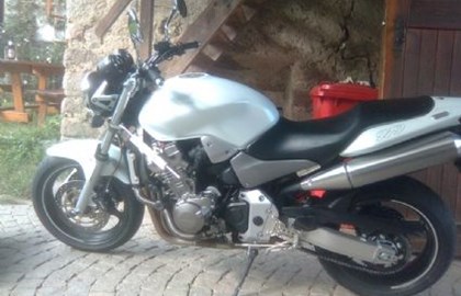 Honda CB 900 F Hornet Custom Bike Honda CB 900 F Hornet Custom Bike