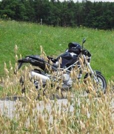 Ducati Monster 1000 S Custom Bike
