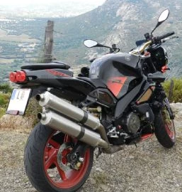 Aprilia RSV 1000 Tuono R Custom Bike Aprilia RSV 1000 Tuono R Custom Bike