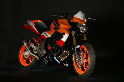 Honda CB 600 F Hornet Special Custom Bike