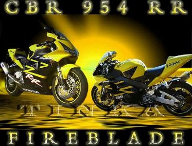 Gebrauchte Honda CBR 900 RR Fireblade