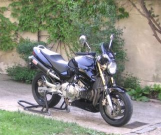 Honda CB 600 F Hornet Custom Bike