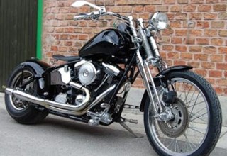 Harley-Davidson Custom Bike Harley-Davidson Custom Bike