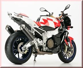 Aprilia RSV 1000 Tuono R Custom Bike Aprilia RSV 1000 Tuono R Custom Bike