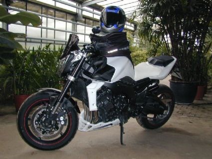 Umgebautes Motorrad Yamaha FZ1 von Cati - Bild 1