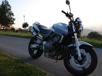 Umgebautes Motorrad Honda CB 600 F Hornet von Cris01 - Bild 5 Umgebautes Motorrad Honda CB 600 F Hornet von Cris01 - Bild 5