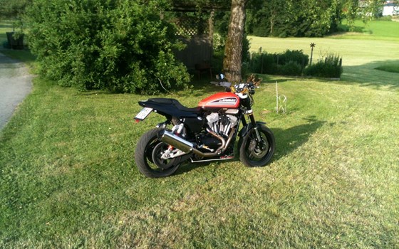 Umgebautes Motorrad Harley-Davidson Sportster XR 1200X von schwattmatt - Bild 1 Umgebautes Motorrad Harley-Davidson Sportster XR 1200X von schwattmatt - Bild 1
