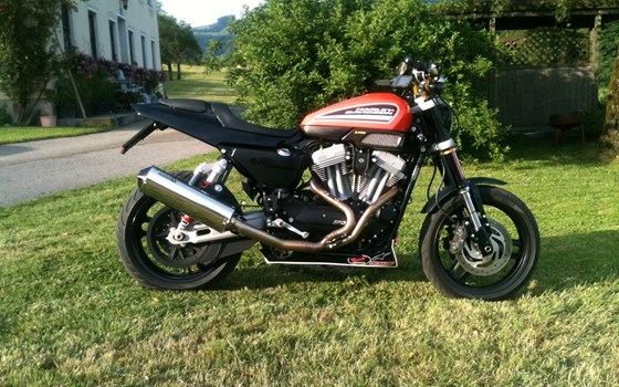 Umgebautes Motorrad Harley-Davidson Sportster XR 1200X von schwattmatt - Bild 3 Umgebautes Motorrad Harley-Davidson Sportster XR 1200X von schwattmatt - Bild 3