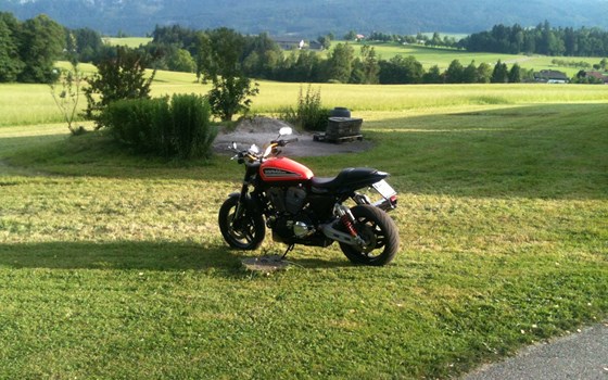 Umgebautes Motorrad Harley-Davidson Sportster XR 1200X von schwattmatt - Bild 6 Umgebautes Motorrad Harley-Davidson Sportster XR 1200X von schwattmatt - Bild 6