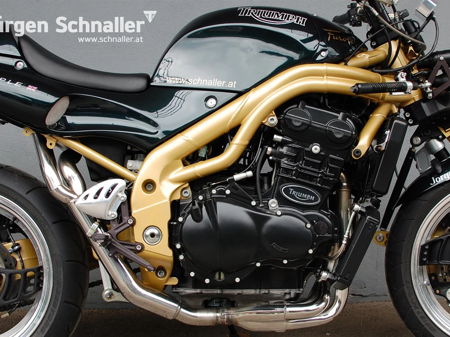 Umbgebautes Motorrad Triumph Speed Triple 955i Bild 7: Umbgebautes Motorrad Triumph Speed Triple 955i