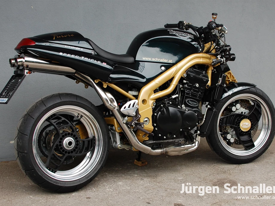 Umbgebautes Motorrad Triumph Speed Triple 955i Bild 4: Umbgebautes Motorrad Triumph Speed Triple 955i