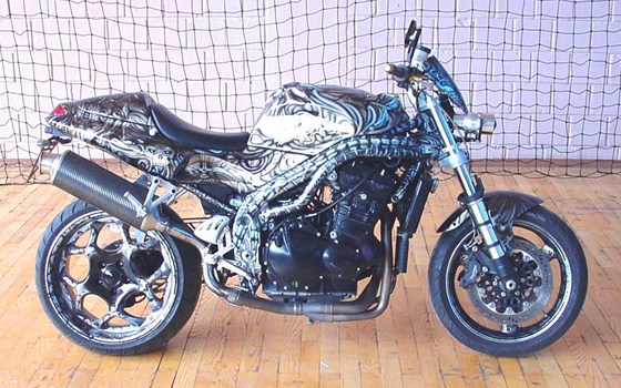 Umgebautes Motorrad Triumph Tiger 955i von UGT-Bikes - Bild 7 Umgebautes Motorrad Triumph Tiger 955i von UGT-Bikes - Bild 7