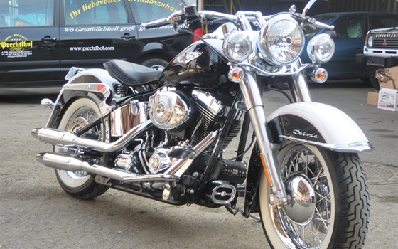 Umgebautes Motorrad Harley-Davidson Softail Custom FXSTC von Berni´s Biker Bude - Bild 5 Umgebautes Motorrad Harley-Davidson Softail Custom FXSTC von Berni´s Biker Bude - Bild 5