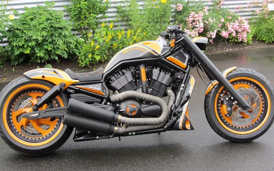 Umgebautes Motorrad Harley-Davidson Night Rod Special VRSCDX von X-Trem Custombikes - Bild 1 Umgebautes Motorrad Harley-Davidson Night Rod Special VRSCDX von X-Trem Custombikes - Bild 1