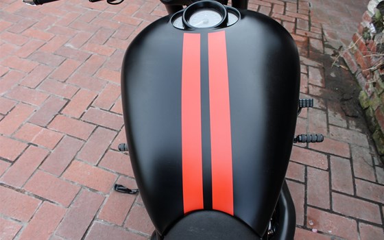 Umgebautes Motorrad Harley-Davidson Night Rod Special VRSCDX von X-Trem Custombikes - Bild 9 Umgebautes Motorrad Harley-Davidson Night Rod Special VRSCDX von X-Trem Custombikes - Bild 9