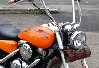 Kawasaki VN 1600 Mean Streak