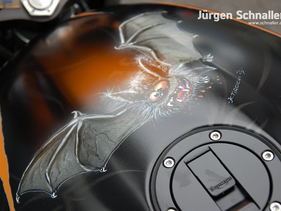 Umbgebautes Motorrad Triumph Speed Triple 1050 Bild 12: Umbgebautes Motorrad Triumph Speed Triple 1050