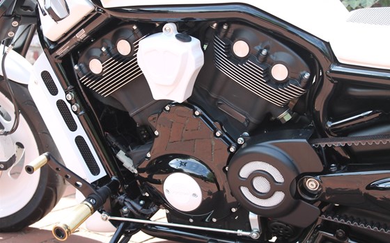 Umgebautes Motorrad Harley-Davidson Night Rod Special VRSCDX von X-Trem Custombikes - Bild 14 Umgebautes Motorrad Harley-Davidson Night Rod Special VRSCDX von X-Trem Custombikes - Bild 14